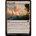 [EX+]進化する未開地/Evolving Wilds《日本語》【MSC】