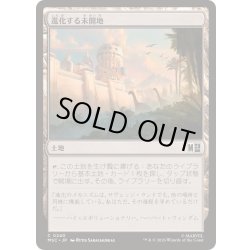 画像1: [EX+](サージFOIL)進化する未開地/Evolving Wilds《日本語》【MSC】