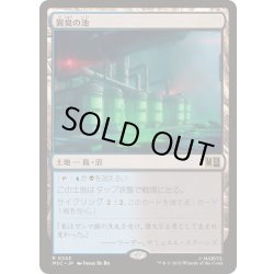 画像1: [EX+](サージFOIL)異臭の池/Fetid Pools《日本語》【MSC】