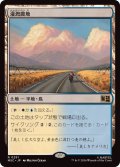 灌漑農地/Irrigated Farmland《日本語》【MSC】
