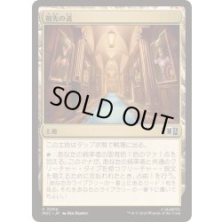 画像1: [EX+](サージFOIL)祖先の道/Path of Ancestry《日本語》【MSC】