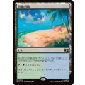 回復の温泉/Rejuvenating Springs《日本語》【MSC】