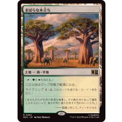 画像1: [EX+]まばらな木立ち/Scattered Groves《日本語》【MSC】