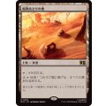 [EX+]屍肉あさりの地/Scavenger Grounds《日本語》【MSC】