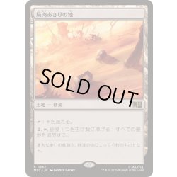 画像1: [EX+](サージFOIL)屍肉あさりの地/Scavenger Grounds《日本語》【MSC】
