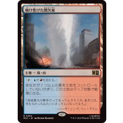 画像1: 焼け焦げた間欠泉/Scorched Geyser《日本語》【MSC】