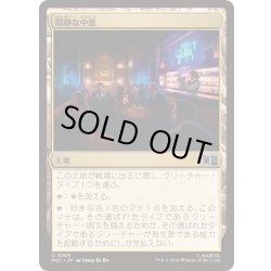 画像1: (サージFOIL)閑静な中庭/Secluded Courtyard《日本語》【MSC】