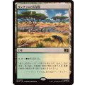 [EX+]サングラスの大草原/Sungrass Prairie《日本語》【MSC】