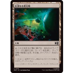 画像1: [EX+](0273)広漠なる変幻地/Terramorphic Expanse《日本語》【MSC】