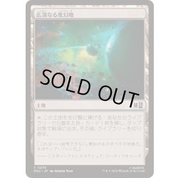 画像1: (サージFOIL)(0273)広漠なる変幻地/Terramorphic Expanse《日本語》【MSC】