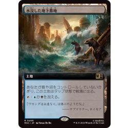 画像1: (フルアート)水没した地下墓地/Drowned Catacomb《日本語》【MSC】