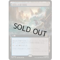 画像1: (FOIL)(フルアート)水没した地下墓地/Drowned Catacomb《日本語》【MSC】