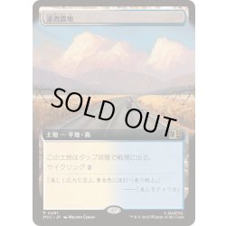画像1: [EX+](フルアート)灌漑農地/Irrigated Farmland《日本語》【MSC】