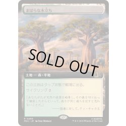 画像1: (FOIL)(フルアート)まばらな木立ち/Scattered Groves《日本語》【MSC】