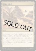 [EX+](FOIL)興隆する絶壁/Thriving Bluff《日本語》【MSC】