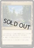 [EX+](FOIL)興隆する木立/Thriving Grove《日本語》【MSC】