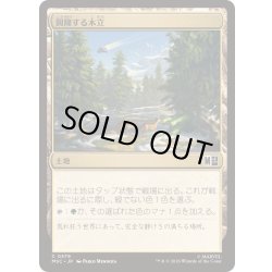 画像1: (FOIL)興隆する木立/Thriving Grove《日本語》【MSC】