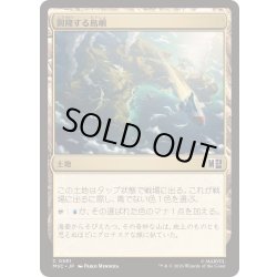 画像1: (FOIL)興隆する島嶼/Thriving Isle《日本語》【MSC】