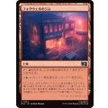 (FOIL)フォグウェルのジム/Fogwell's Gym《日本語》【MSC】