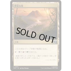 画像1: (FOIL)野蛮な地/Savage Lands《日本語》【MSC】