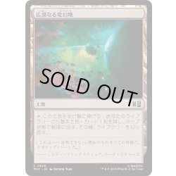 画像1: [EX+](0828)広漠なる変幻地/Terramorphic Expanse《日本語》【MSC】