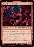 スカーレット・ウィッチ/The Scarlet Witch《日本語》【MSH】