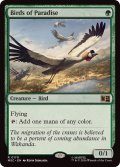 極楽鳥/Birds of Paradise《英語》【MSC】