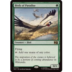 画像1: 極楽鳥/Birds of Paradise《英語》【MSC】