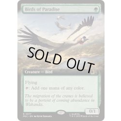 画像1: [EX+](FOIL)(フルアート)極楽鳥/Birds of Paradise《英語》【MSC】