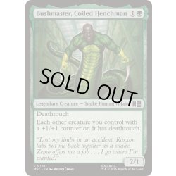 画像1: (FOIL)とぐろ巻く腹心、ブッシュマスター/Bushmaster, Coiled Henchman《英語》【MSC】