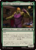 新星の猛者、ハルクリング/Hulkling, Burgeoning Bruiser《日本語》【MSH】