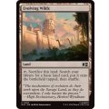 進化する未開地/Evolving Wilds《英語》【MSC】