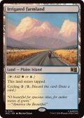 灌漑農地/Irrigated Farmland《英語》【MSC】
