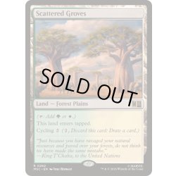 画像1: [EX+](サージFOIL)まばらな木立ち/Scattered Groves《英語》【MSC】