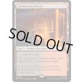 [EX+]燻る湿地/Smoldering Marsh《英語》【MSC】