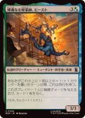 博識なる軽業師、ビースト/Beast, Erudite Aerialist《日本語》【MSH】