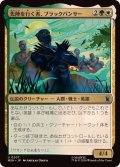 先陣を行く者、ブラックパンサー/Black Panther, Vanguard《日本語》【MSH】