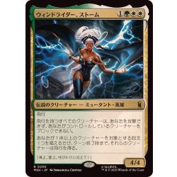 画像1: ウィンドライダー、ストーム/Storm, Windrider《日本語》【MSH】