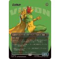 (FOIL)(フルアート)ヴィジョン/The Vision《日本語》【MSH】