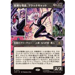 画像1: (フルアート)狡猾な怪盗、ブラックキャット/Black Cat, Cunning Thief《日本語》【SPM】