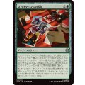 スパイダーマンの写真/Pictures of Spider-Man《日本語》【SPM】
