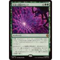 生命と運命のウェブ/Web of Life and Destiny《日本語》【SPM】