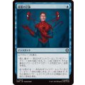 秘密の正体/Secret Identity《日本語》【SPM】