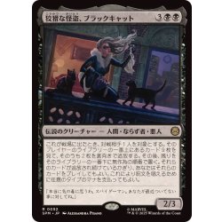 画像1: 狡猾な怪盗、ブラックキャット/Black Cat, Cunning Thief《日本語》【SPM】