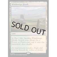 [EX+]吹きさらしの荒野/Windswept Heath《英語》【MH3】