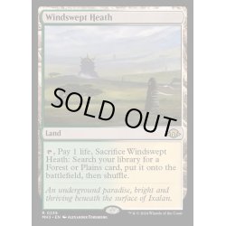 画像1: [EX+]吹きさらしの荒野/Windswept Heath《英語》【MH3】