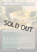 (FOIL)(フルアート)(0360)吹きさらしの荒野/Windswept Heath《英語》【MH3】