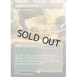 画像1: [EX+](FOIL)(フルアート)(0360)吹きさらしの荒野/Windswept Heath《英語》【MH3】