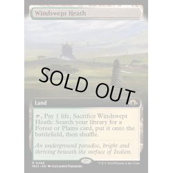 画像1: [EX+](FOIL)(フルアート)(0466)吹きさらしの荒野/Windswept Heath《英語》【MH3】