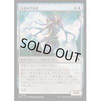 [EX+](FOIL)石化の干渉者/Petrifying Meddler《日本語》【MH3】